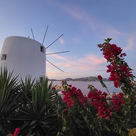 Manolia House Apartment